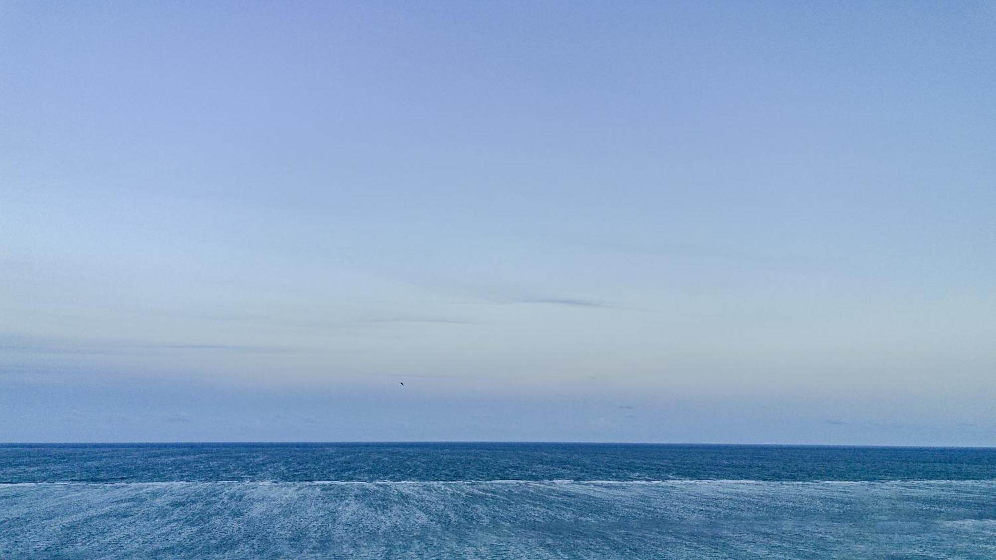 Vela's Ocean Front 3*